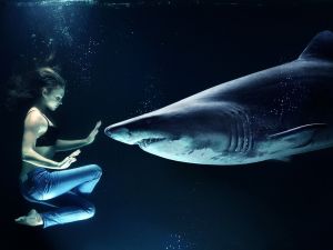 Kultura otwartości na niewiedzę. Wrogość wiedzących.